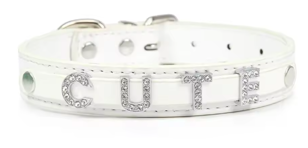 Pawood™ Crystal Personalized Pet Collar