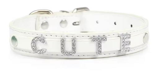 Pawood™ Crystal Personalized Pet Collar